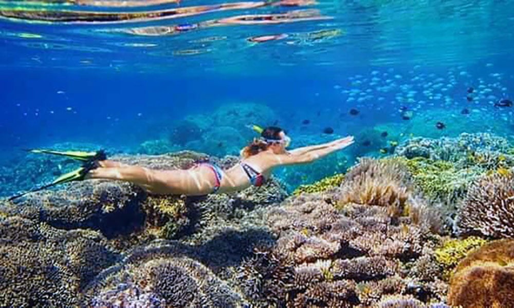 Nosy_Tanikley_Diving_Coral_Reef